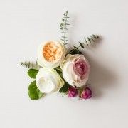 썸네일(스크롤)