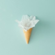 썸네일(스크롤)